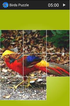 Birds Puzzle游戲截圖3