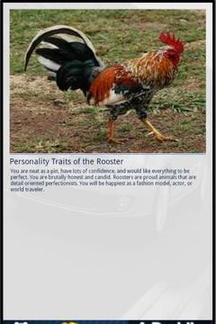Rooster&Me游戲截圖2