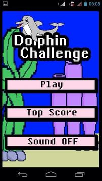 Dolphin Challenge游戲截圖1