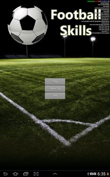 Football Skills游戲截圖1