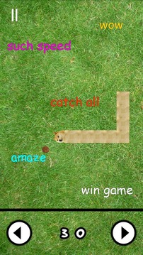 Doge Snake游戲截圖1