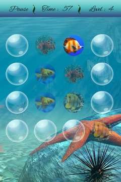 Fish Memory Game游戲截圖4