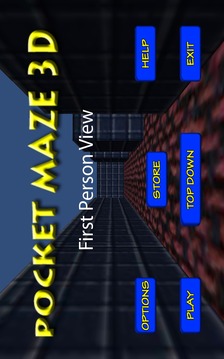 Pocket Maze 3D Lite游戲截圖1