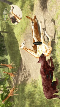 Panther Simulator 3D游戲截圖3
