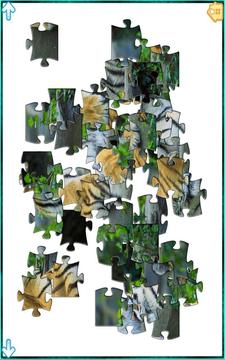 Wild Animal Jigsaw Puzzle游戏截图2