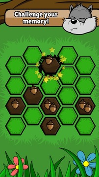 Mini Nuts: Memory Challenge游戲截圖3