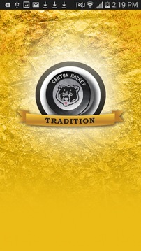 Canton Bears Hockey游戲截圖1