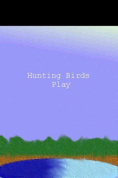 Hunting Birds游戲截圖1
