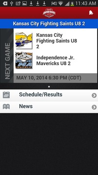 Kansas City Amateur Hockey游戲截圖3