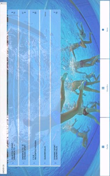 Pallanuoto FIN游戲截圖2