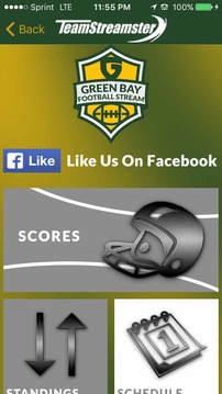 Green Bay Football STREAM游戲截圖2