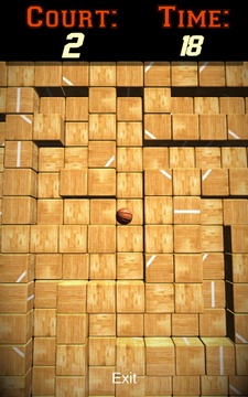 March Madness Maze游戲截圖2