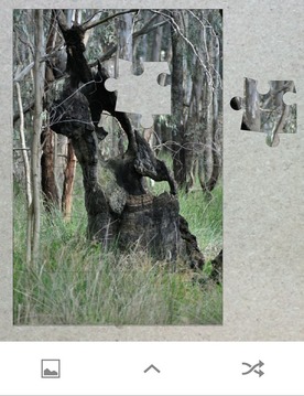 Jigsaw Anywhere游戲截圖3