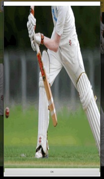 Cricket Games游戲截圖4