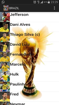 Soccer World Cup Teams 2014游戲截圖3