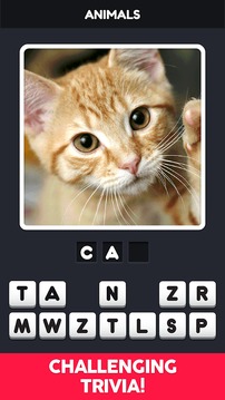 Guess the Logos - 100 Pics!游戲截圖3