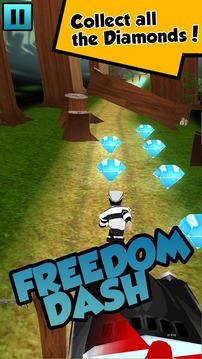 Freedom Dash游戲截圖3