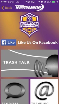 Minnesota Football STREAM游戲截圖4