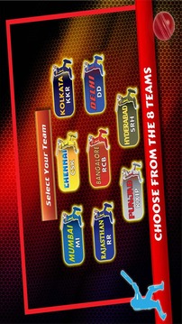 IPL T20 Cricket 2015游戲截圖1
