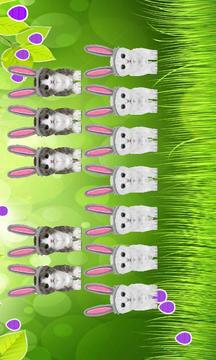 3D Singing Bunny Kitten Piano游戲截圖2
