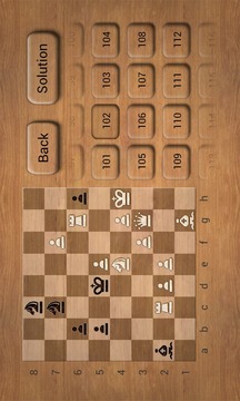 Chess Puzzles L游戲截圖2