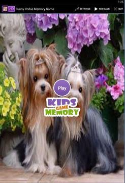 Funny Yorkie Memory Game游戲截圖1