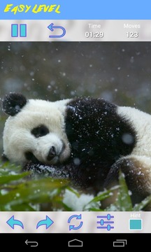 Panda Jigsaw Puzzle游戲截圖5
