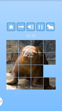 Walrus Slide游戲截圖1
