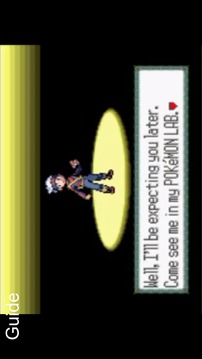 CODE For Pokemon Ruby(GBA)游戲截圖5