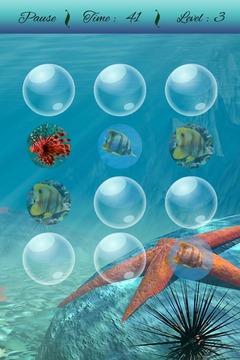 Fish Memory Game游戲截圖3