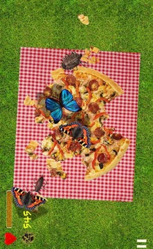 Kill bugs and eat lunch游戲截圖3