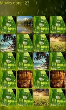 Nature Memory HD游戲截圖2