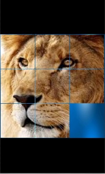 Arrange Puzzle (Number,Pic)游戲截圖4