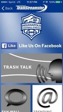 Indianapolis Football STREAM游戲截圖3