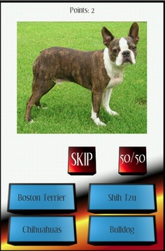 Dog Breed Picture Quiz游戲截圖5