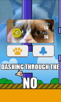Flappy Grumpy Cat游戲截圖5