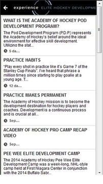 Academy of Hockey游戏截图3