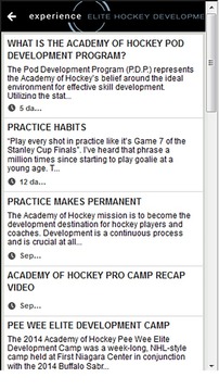 Academy of Hockey游戲截圖3