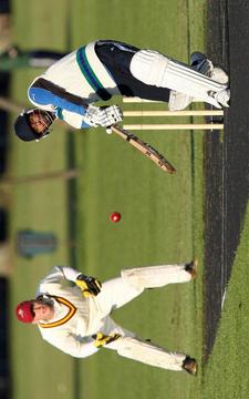 Best Cricket Games for Mobiles游戲截圖3