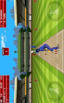 T20 Premier League 2015游戲截圖4