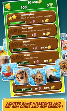 Family Pets游戲截圖5