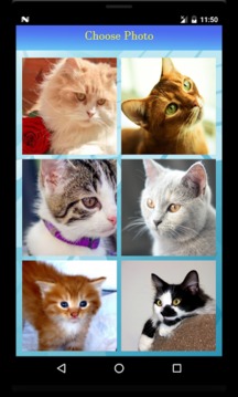 Cute Cat Puzzle游戲截圖3