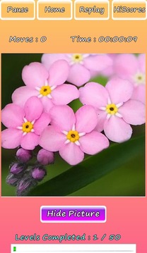 Photo Puzzle Of Flowers游戲截圖2