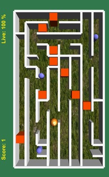 Free Maze 3D游戲截圖1