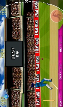 Cricket India Vs West Indies游戲截圖4