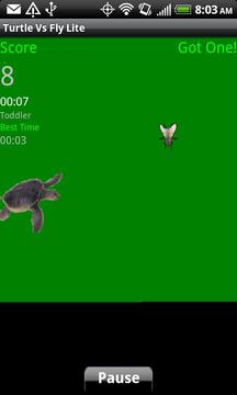 Turtle Vs Fly Lite游戲截圖3
