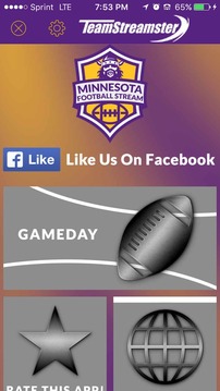Minnesota Football STREAM游戲截圖1