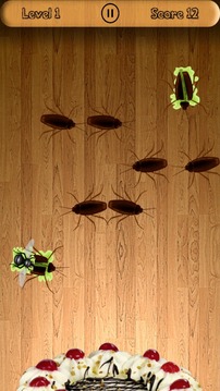Real Insect Smasher游戲截圖3