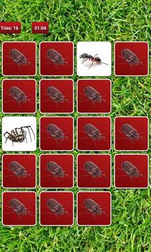 Insect Memory Game游戲截圖3