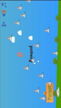 catch bird in forest游戲截圖1